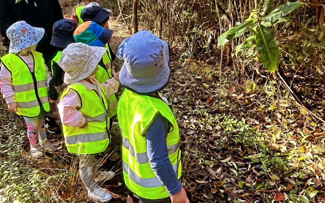 Top Reasons to Choose Child Care Eastwood
