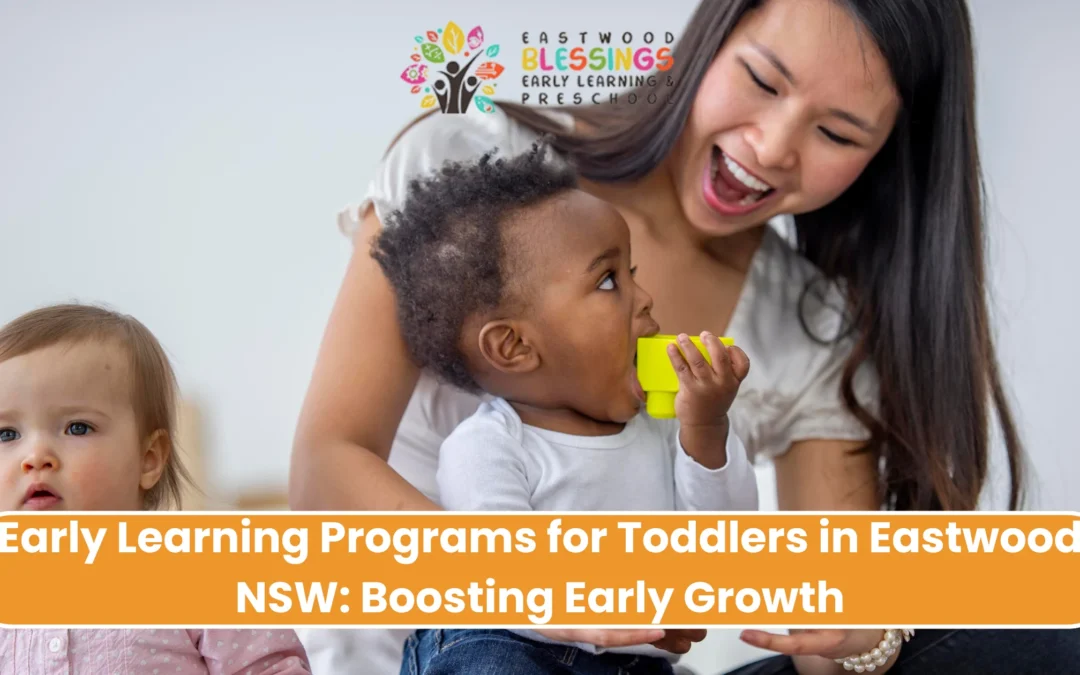 Early Learning Programs for Toddlers in Eastwood NSW: Boosting Early Growth | Eastwood Blessings