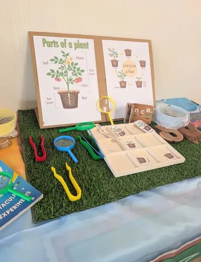 Parts of a plant and life cycle charts with magnifying glasses and tweezers on a learning table at Eastwood Blessings